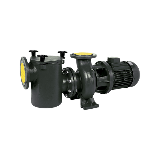 SACI CF-2 Pompă centrifugală din fontă